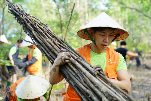 베트남 짜빈성에서 맹그로브 숲 복원 자원봉사활동을 하고 있는 SK이노베이션 구성원들